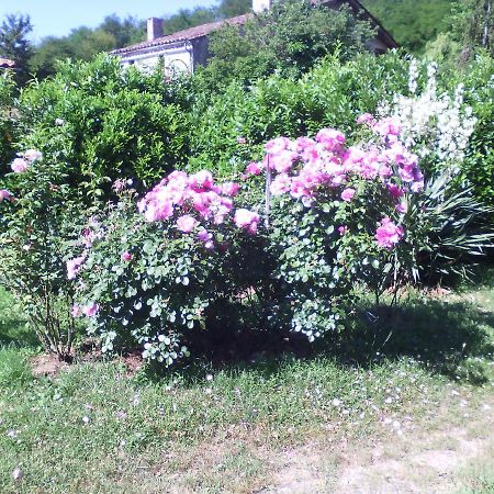 Гостьовий будинок L'Ancien Patronage Caumont-sur-Garonne Екстер'єр фото