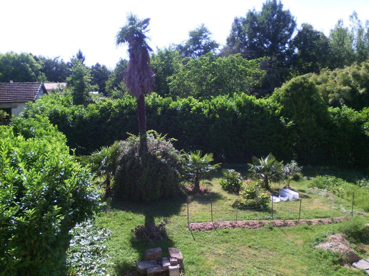 Гостьовий будинок L'Ancien Patronage Caumont-sur-Garonne Екстер'єр фото